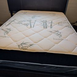 Queen Size Mattress And Box Spring 