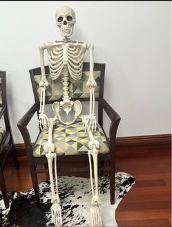 5 Ft Poseable Halloween Skeleton – Life Size Bone Decor