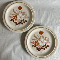 Two Vintage Kingsbury “Dogwood” Stoneware Dinner Plates