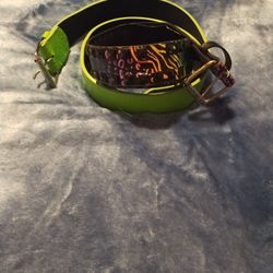 Rainbow Zebra Print Belt And Green Belt From 2000s