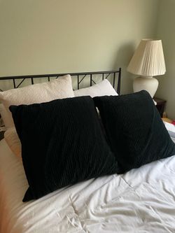 Euro pillows 24x24