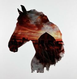 Horsehead Facing Left with Orange Sunset and Barn Metal