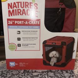 Dog Crate