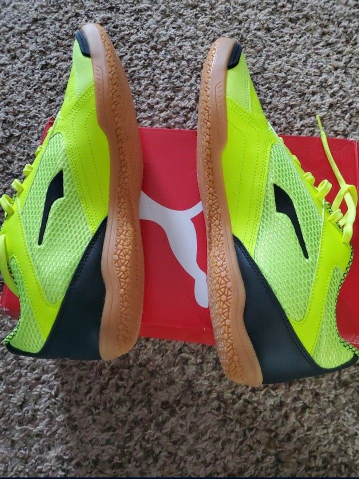 Puma Non Marking Shoes.