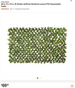 Artificial Gardenia Leaves