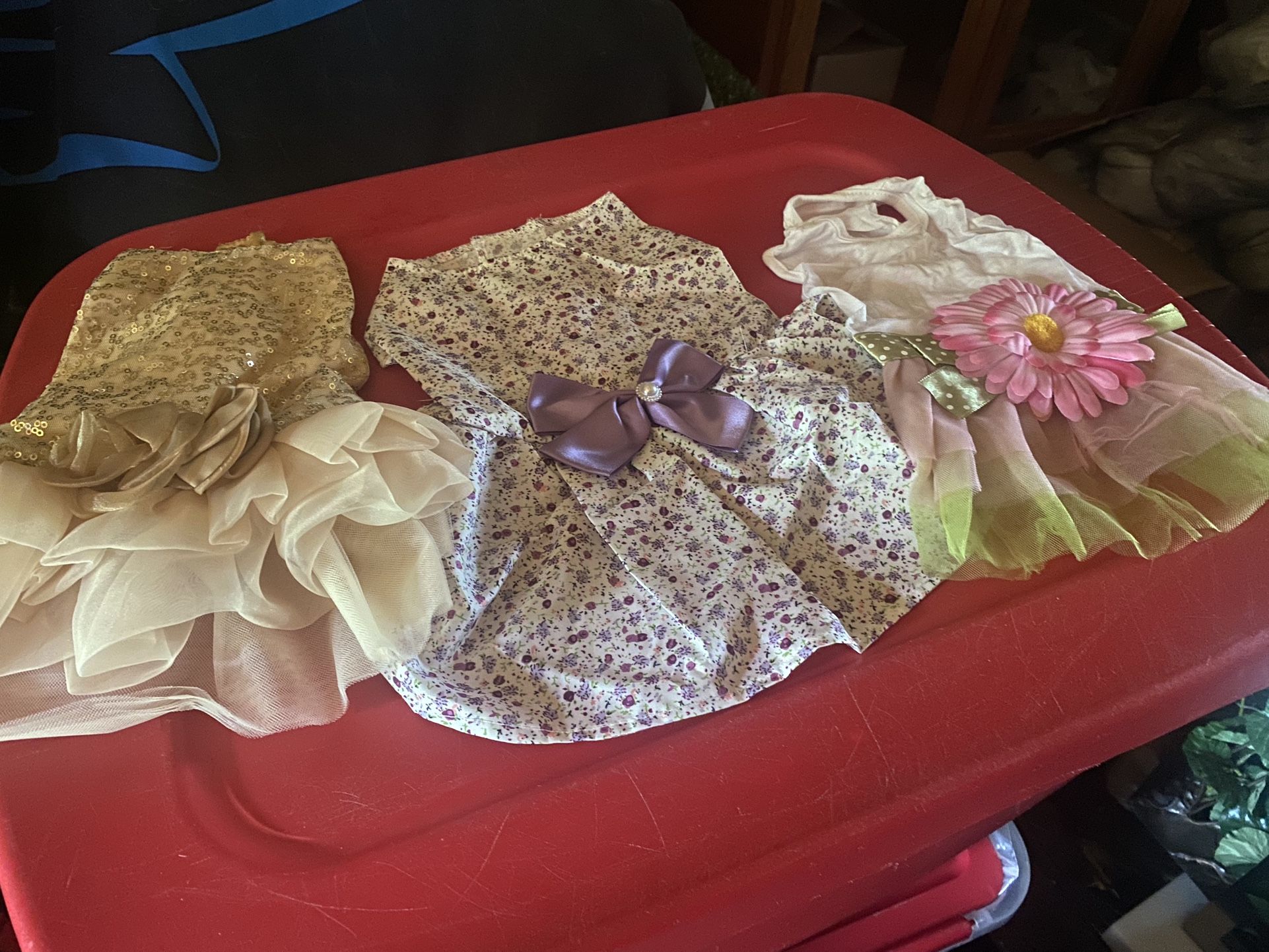 Small and extra small dog dresses five dollars each