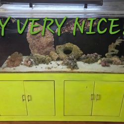 Tank SYSTEM FISH AQUARIUM  300GALLON