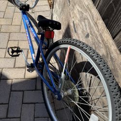 20” Tag Along Bike For Kids 