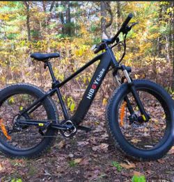 Electric Bike