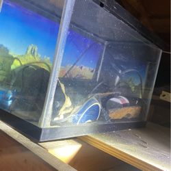 Aquarium