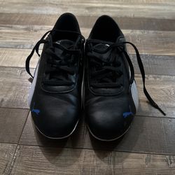 Puma BMW Shoes