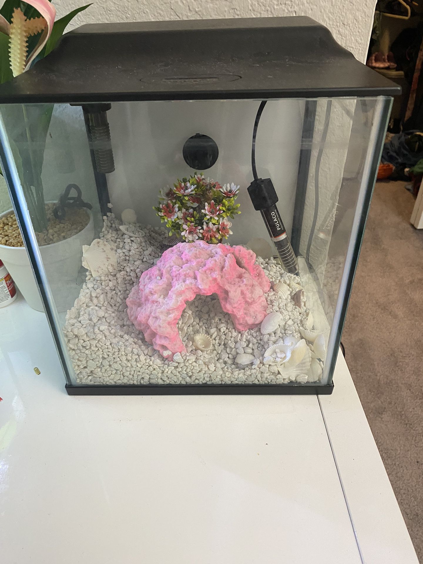 Multicolor LED Fish Aquarium + Accessories 