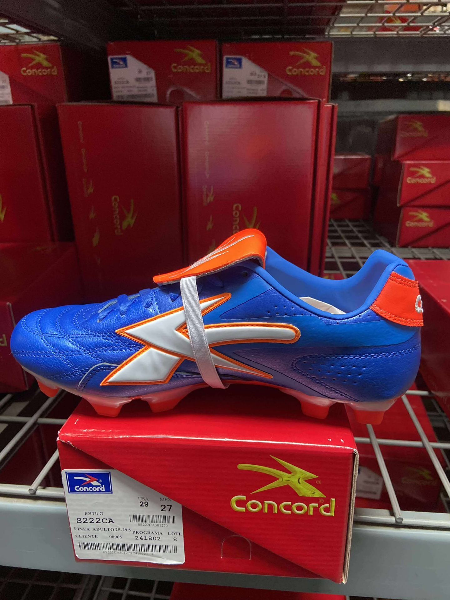 Zapatos De Soccer Concord 