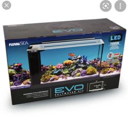 5gallon Aquarium 