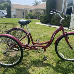 Meridian Schwinn