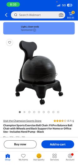 Exercise Ball chair