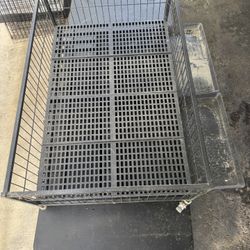 Whelping Stuff For Sale 