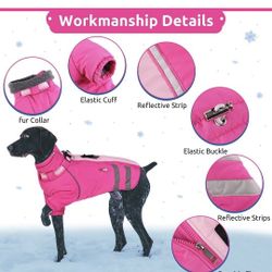 Dog Snow Jacket