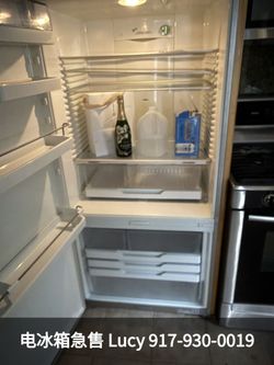 Fisher & Paykel 17.3 Cu. Ft. Bottom-Freezer Refrigerator (E522B)