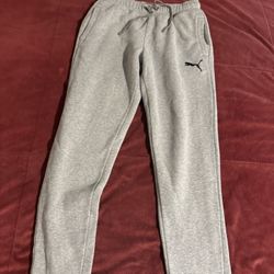 Puma Gray Sweats