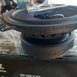 Got A Few Cut In Door 5.25 High Power Mid Bass Drivers..they Loud...few Left..