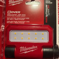 Pivoting flood Light 