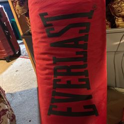 80LB Punching bag