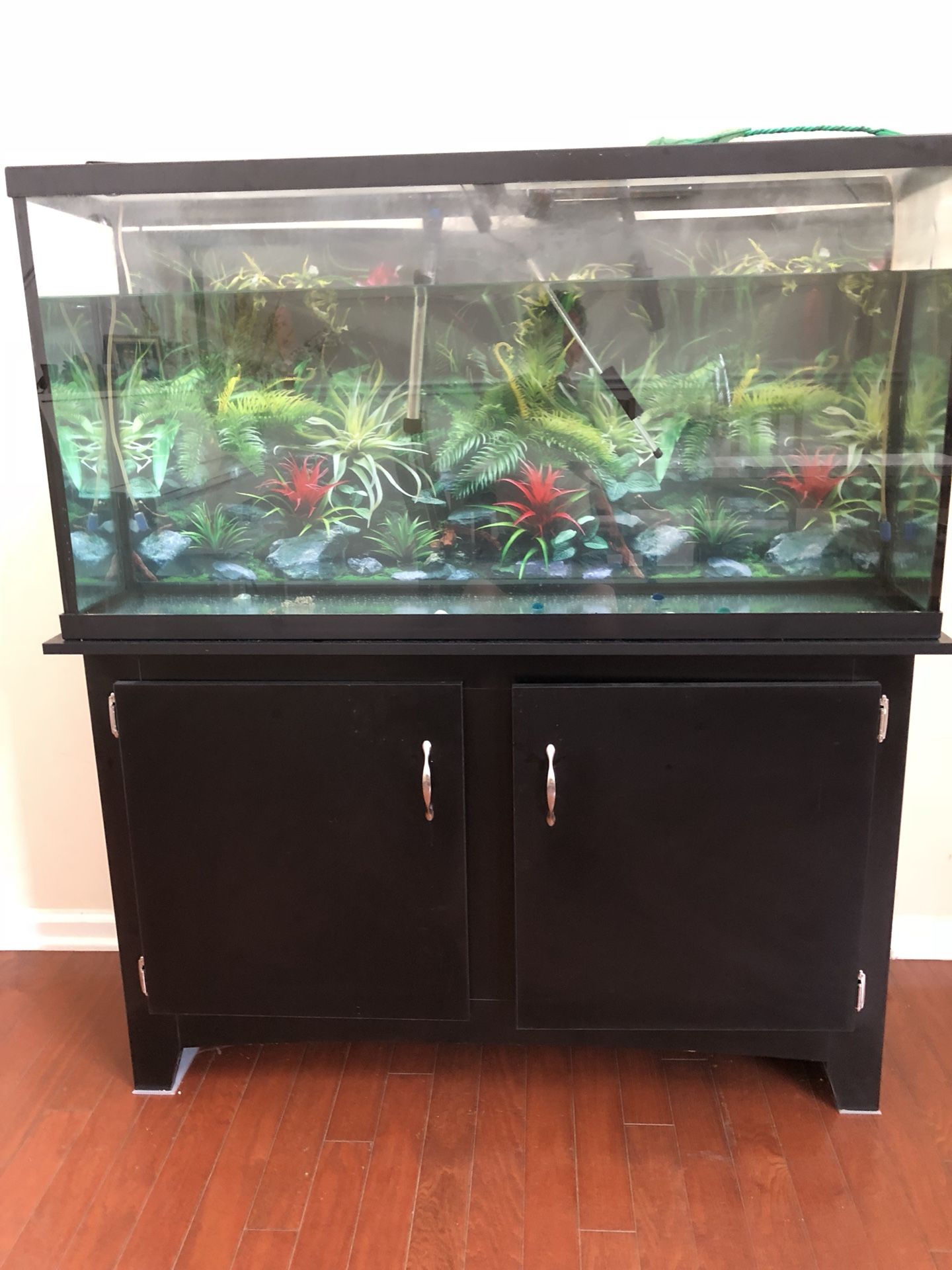 Fish tank55 gallon