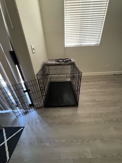 Kong XL cage