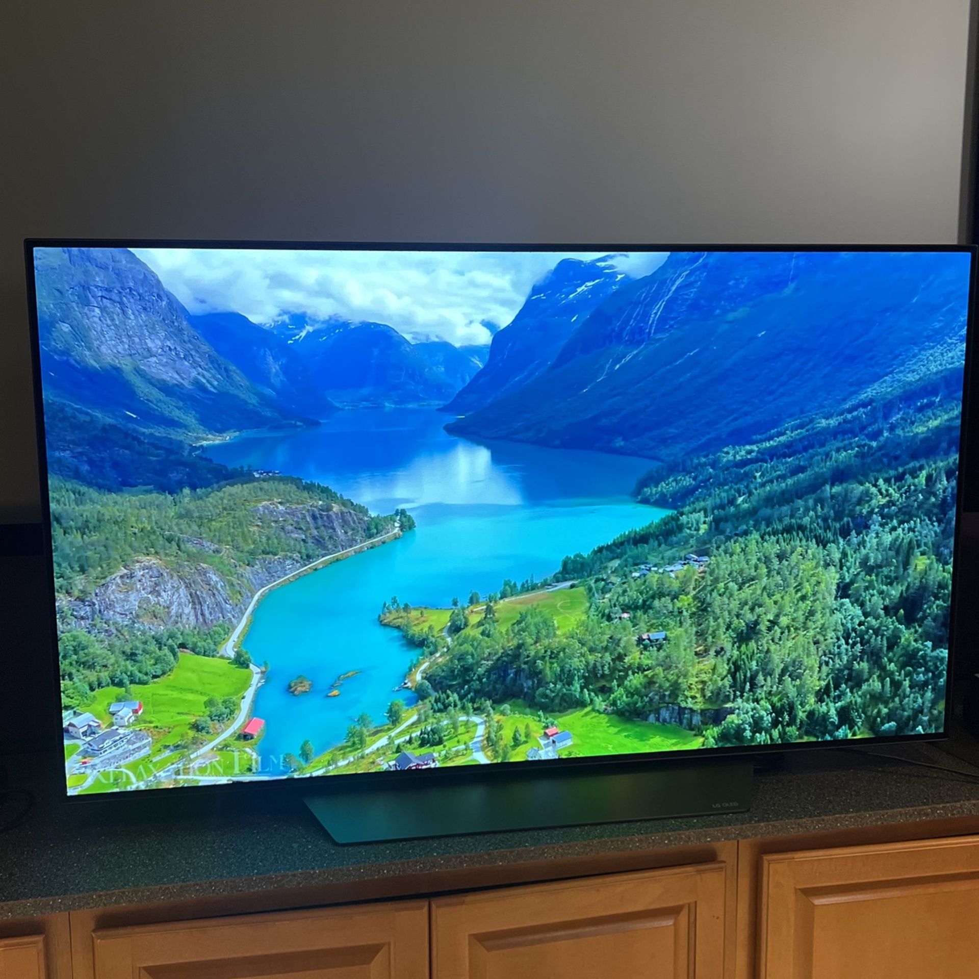 LG OLED 55 Inch TV