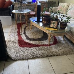 5 X 7 Decorator Rug