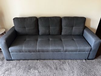 Sleeper Sofa, great condition! $100