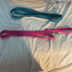 Leashes