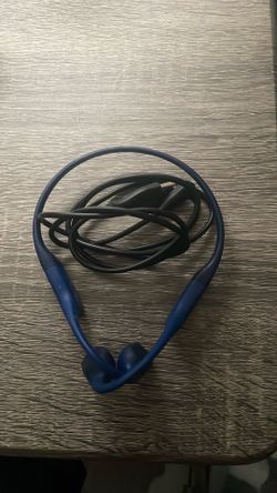 Shokz OpenRun Headphones