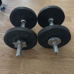 15lb Dumbbells 