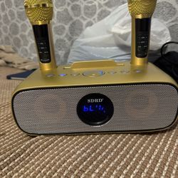 Speaker With Microphones 