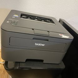 Brother HL-L2360DW black laser printer