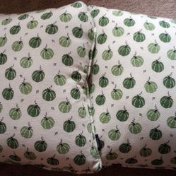 2 Green Pumpkin Pillows 