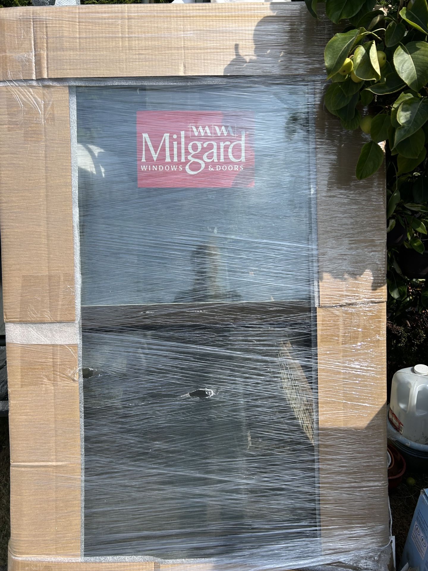 New Window 60x36