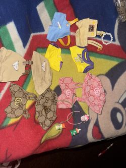 Labubu Clothes Take It All