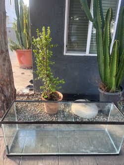 large rectangular glass aquarium tank  45 gallon   48”x18”x16