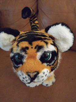 Furr real tiger and Fisher price bright beats junior