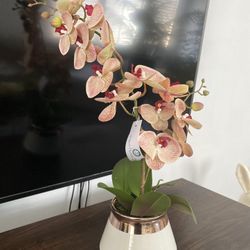Artificial  Plants