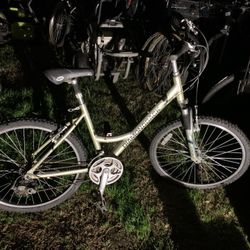 Diamondback Mountain Bike