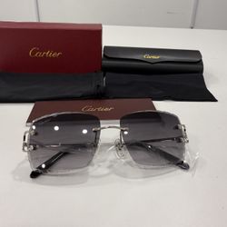Cartier Glasses(Diamond Cut) Black Lense, Silver Frame
