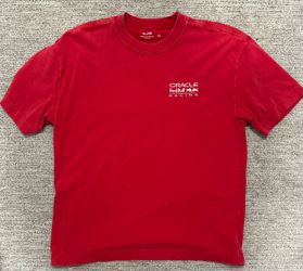 Hollister Heavyweight Boxy Graphic T-Shirt