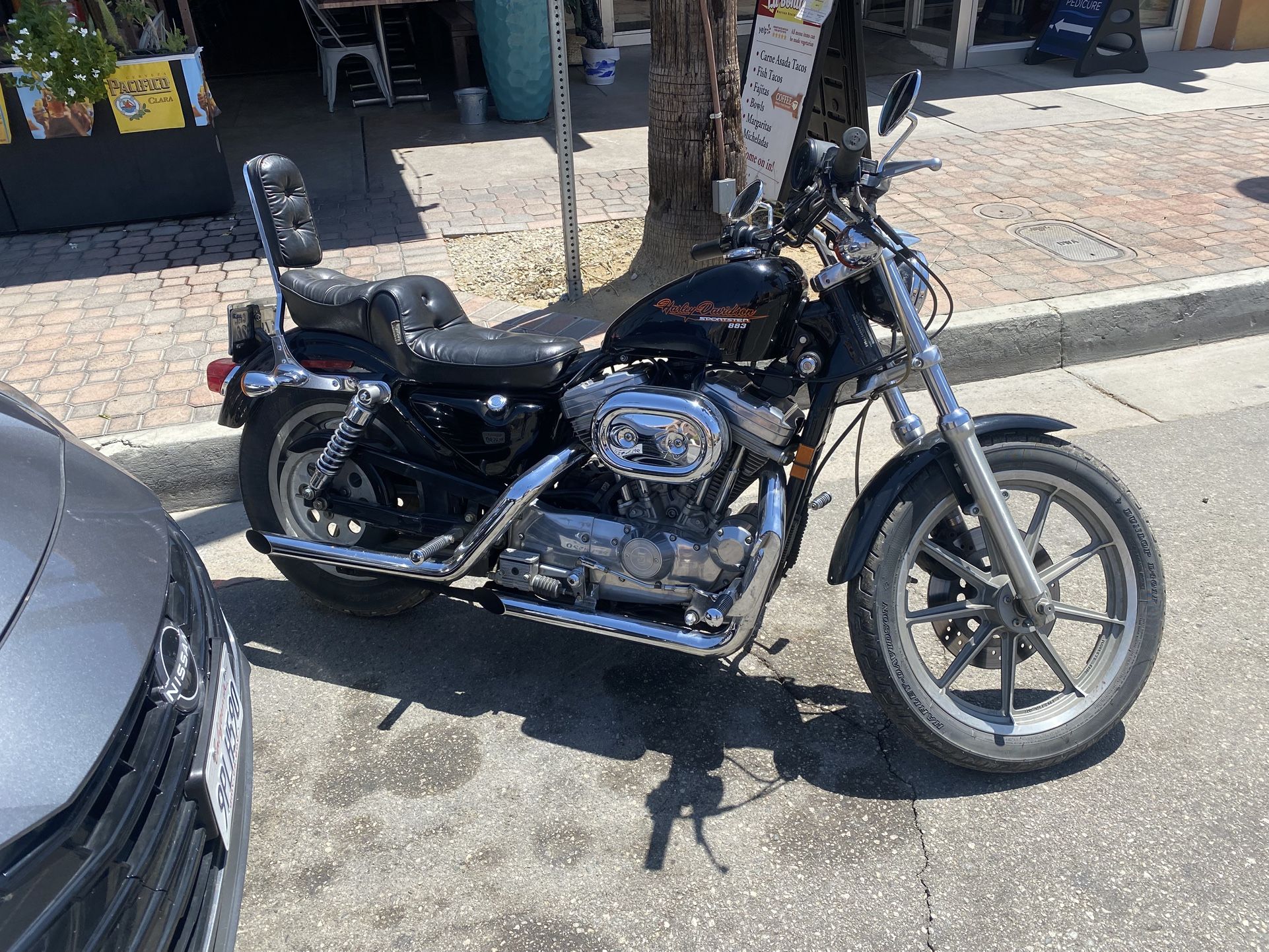 1995 Harley Davidson Sportster 883