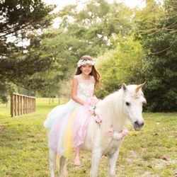 Girls dress - unicorn 