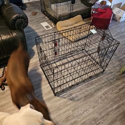 Dog Crate