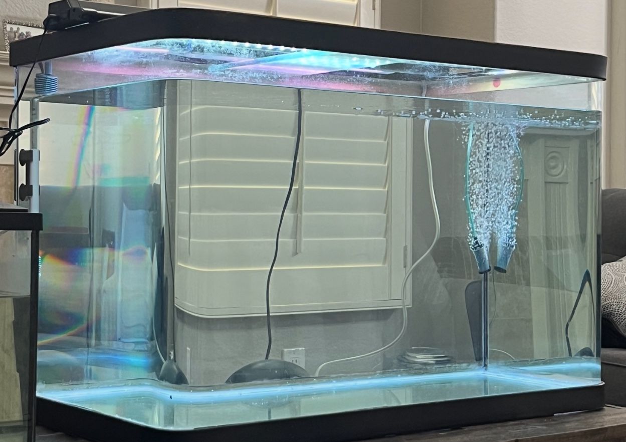 Fish Tank